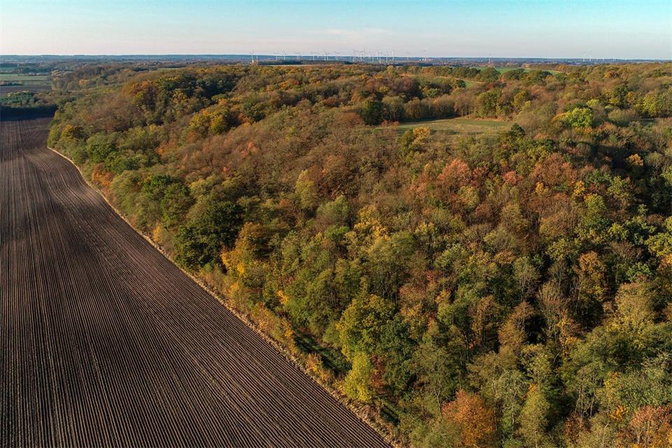 Thüringen ist zum Großteil vorallem von Landwirtschaftsfläche und Wald bedeckt. (Symbolbild)Patrick Pleul/dpa-Zentralbild/ZB