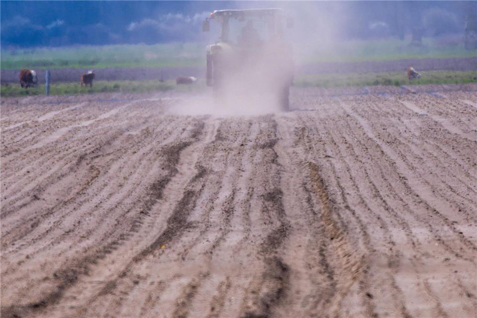 Thüringer Landwirte haben in diesem Jahr mehr als 217 Millionen Euro an EU-Zahlungen erhalten. (Archivbild)Jens Büttner/dpa