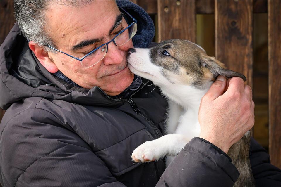 Tierarzt Hasan Tatari ist für die Hunde da.Patrick Pleul/dpa