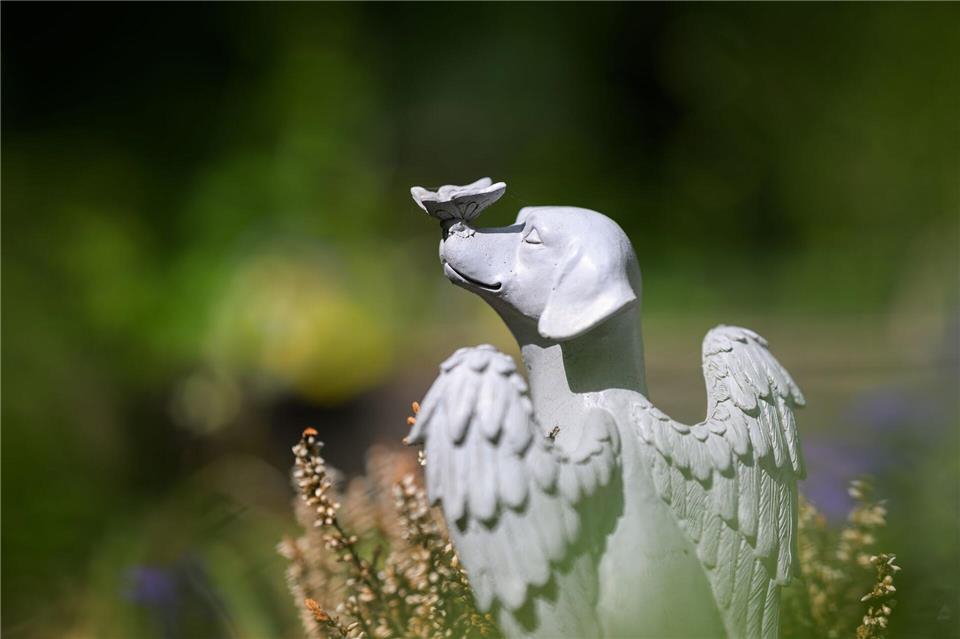 Tierbesitzer in Hessen haben mehrere Möglichkeiten, ihr Haustier zu bestatten. Dazu zählt unter anderem der Tierfriedhof.Hannes P. Albert/dpa