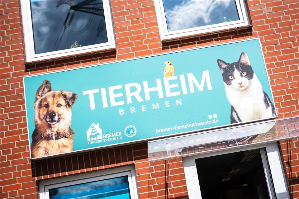Tierheime im Nordwesten stoßen an ihre Grenzen. Sina Schuldt/dpa