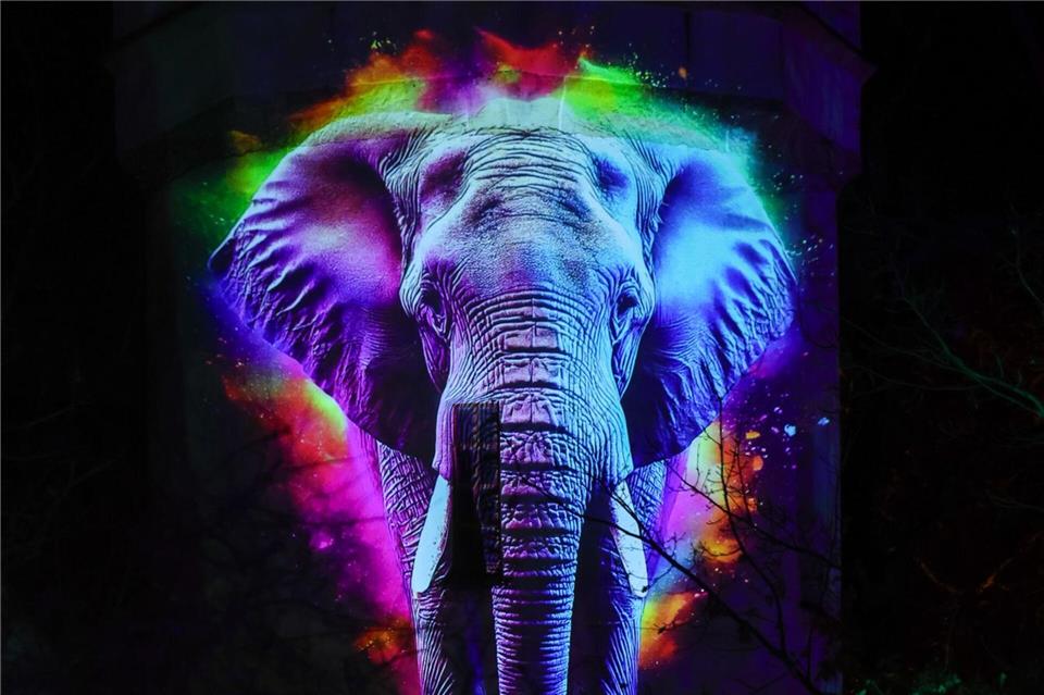 Tierisches Spektakel: Ein Elefant wird an ein Gebäude des Leipziger Zoos projiziert.Jan Woitas/dpa