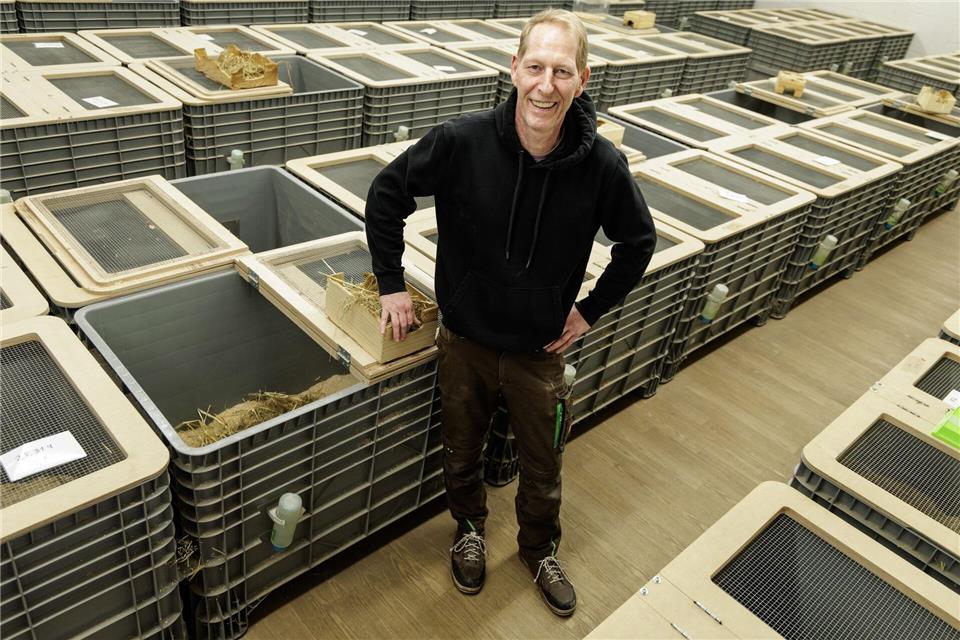Tierpfleger Jörg Kritschker steht neben den Großboxen mit den Feldhamstern. (Archivbild)David-Wolfgang Ebener/dpa