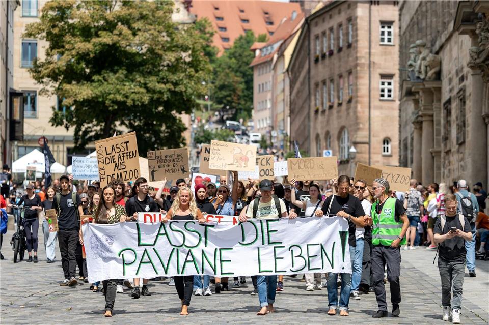 Tierschützerinnen und Tierschützer protestierten im vergangenen Jahr wiederholt gegen die Pläne des Tiergartens, einzelne Paviane aus Platzmangel zu töten. (Archivbild)Daniel Karmann/dpa