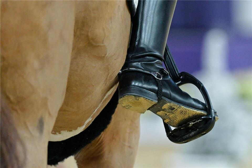 Tierschutzrelevante Vorfälle: In München wurde nun eine Prüfung abgebrochen. (Archivbild)Uwe Anspach/dpa