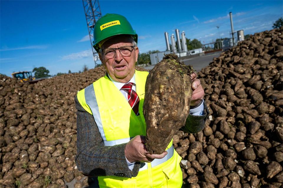 Till Backhaus (SPD), Landwirtschaftsminister von Mecklenburg-Vorpommern, steht auf dem Rübenplatz in Anklam. Dort startete am Montag die einzige Zuckerfabrik in Mecklenburg-Vorpommern mit der Rübenverarbeitung.Stefan Sauer/dpa