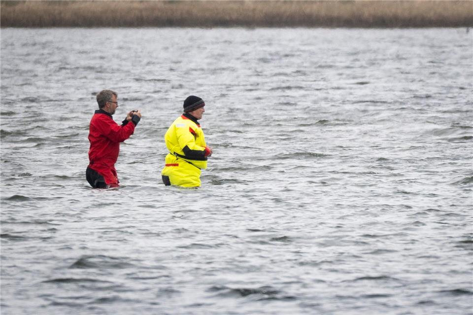 Till Backhaus läuft zum BuckelwalPhilip Dulian/dpa