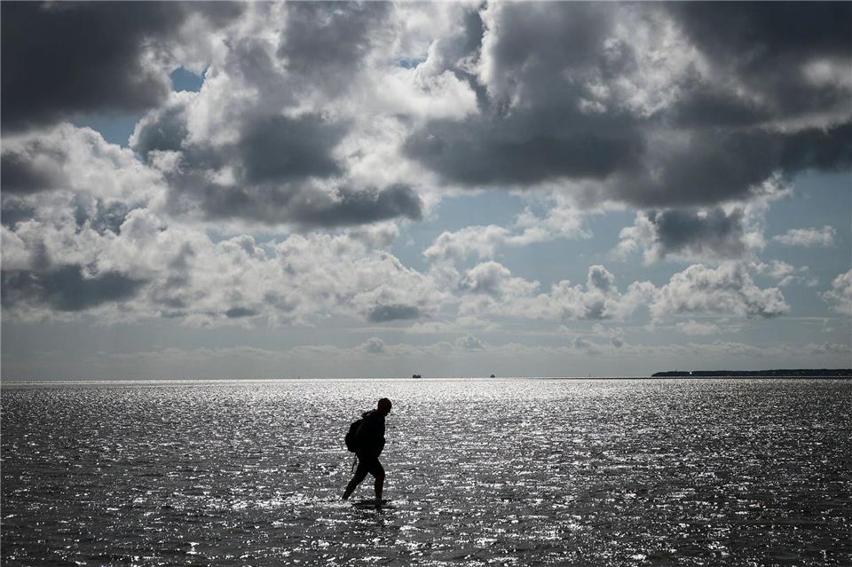 Tobias Goldschmidt (Bündnis 90/ Die Grünen), Umweltminister von Schleswig-Holstein, geht bei einer Wattwanderung der Nationalparkverwaltung von Dagebüll auf die Hallig Oland durch das auflaufende Wasser zurück nach Dagebüll.Christian Charisius/dpa