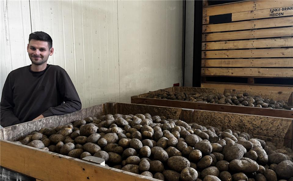 Tobias Maas an einer der Kisten voller Kartoffeln auf dem Hof Finke. Dort läuft aktuell die Kartoffelernte.