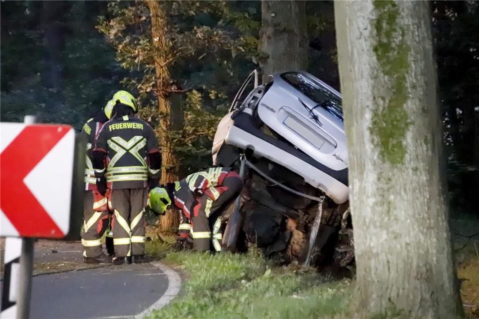 Weniger tödliche Unfälle an Straßenbäumen in Brandenburg  Tödlicher Baumunfall in Brandenburg. (Archivbild)Dominik Totaro/dpa