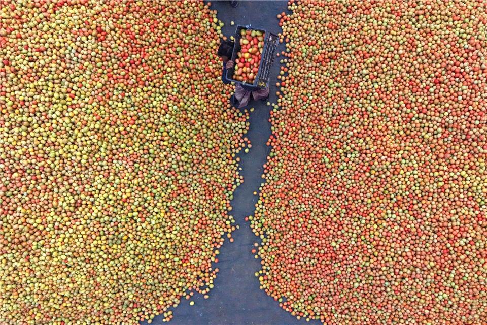 Tomaten auf dem Großmarkt in BangladeschSyed Mahabubul Kader/ZUMA Press Wire/dpa