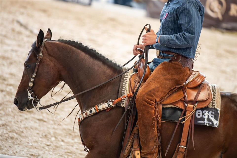 Top-Ranches präsentieren sich auf der Messe. Silas Stein/dpa