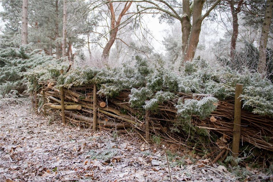 Totholzhecken bieten Insekten, Kleinsäugern und anderen Gartenbewohnern einen sicheren Unterschlupf.picture alliance / dpa-tmn