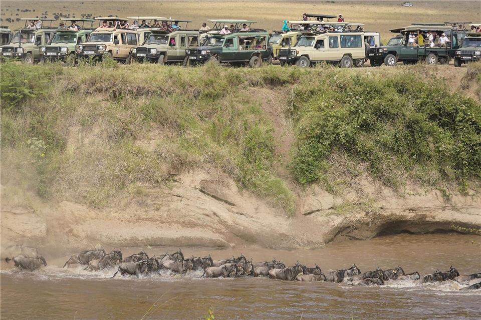 Touristen versammeln sich in der Nähe des Mara-Flusses im Masai Mara Nationalreservat, um die alljährliche Wanderung von rund 1,5 Millionen Gnus zu beobachten.Han Xu/XinHua/dpa