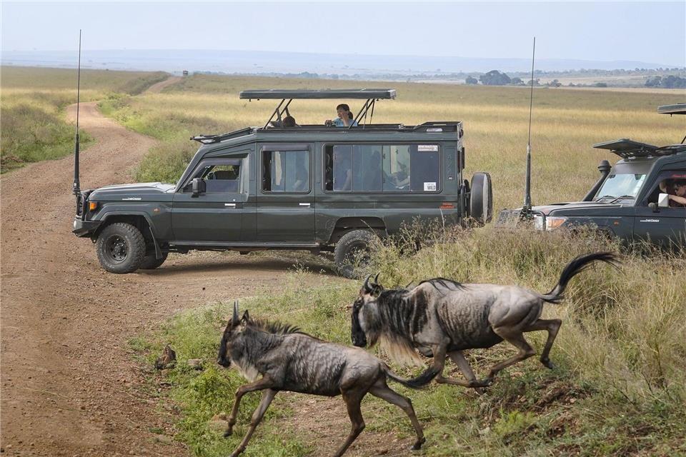 Touristen versammeln sich in der Nähe des Mara-Flusses im Masai Mara Nationalreservat, um die alljährliche Wanderung von rund 1,5 Millionen Gnus zu beobachten.Han Xu/XinHua/dpa