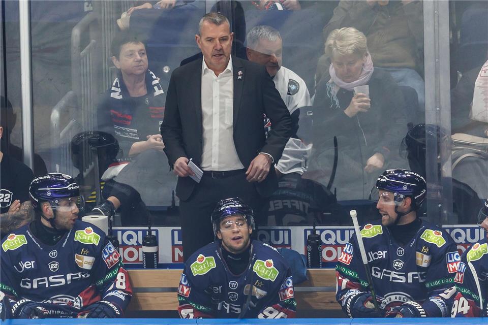 Trainer Serge Aubin bereitet die Eisbären Berlin auf die Saison vor (Archivbild).Andreas Gora/dpa