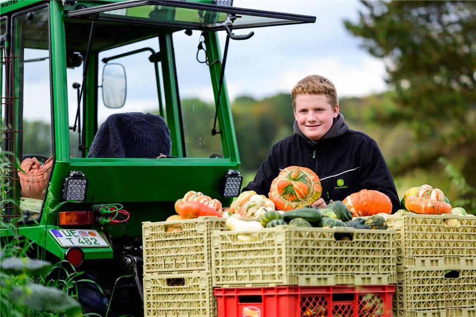Sören Schulz: Mit 15 Jahren Gemüsebauer mit Leib und Seele  Traumberuf Gemüsebauer: Mit 15 Jahren weiß Sören Schulz schon ganz genau, was er werden will. Philipp Schulze/dpa