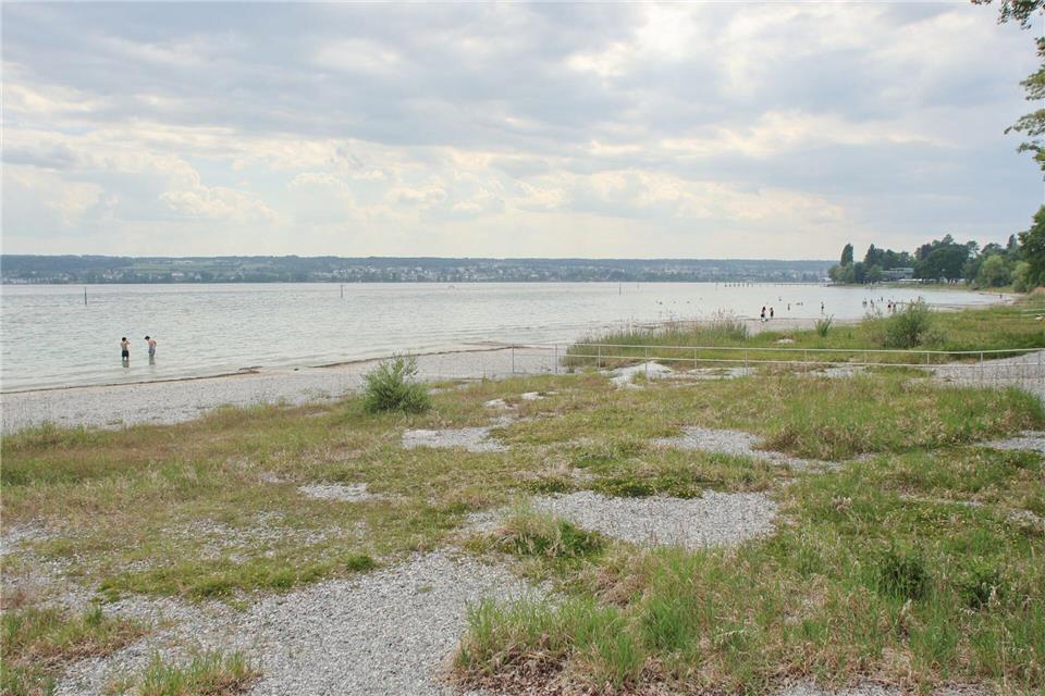 Trinkwasserversorgung aus dem Bodensee ist trotz Niedrigwasser nicht gefährdet. (Archivbild)Oliver Hanser/dpa