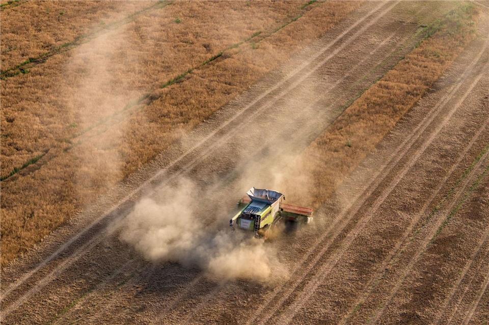 Trocken und staubig: Eine Erntemaschine fährt über ein Feld mit Futtererbsen in Sachsen. Sebastian Kahnert/dpa