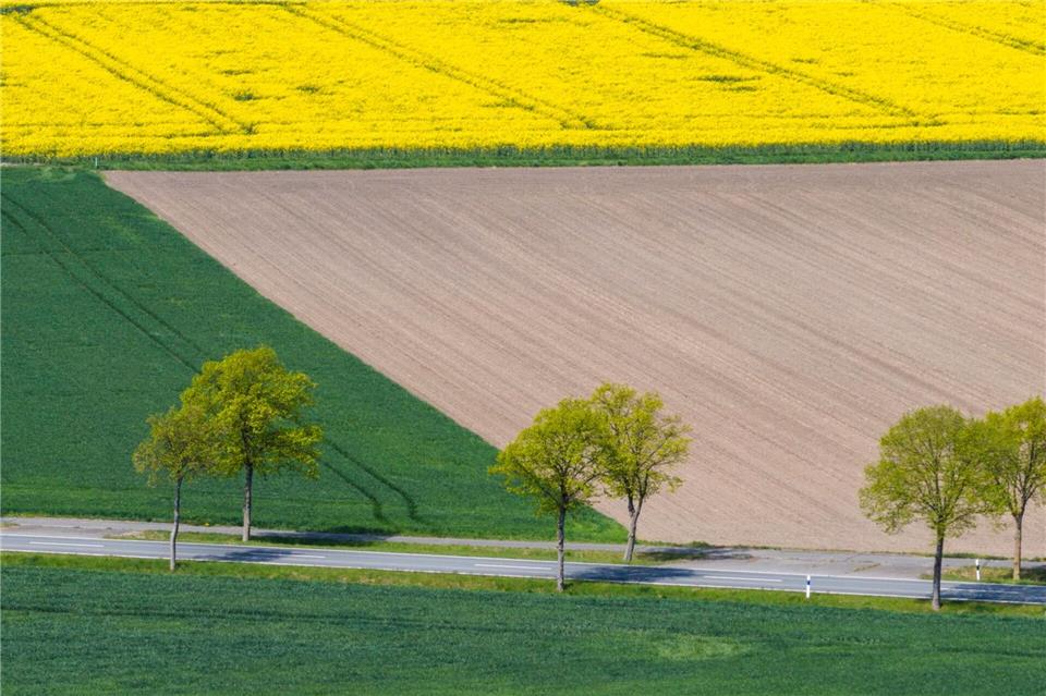 Trockene Landschaft in NiedersachsenJulian Stratenschulte/dpa