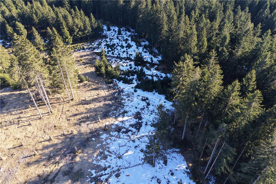 Trockene Moore im Thüringer Wald sollen wieder vernässt werden, damit sie ihre Funktion als Kohlenstoffspeicher wahrnehmen können.Bodo Schackow/dpa