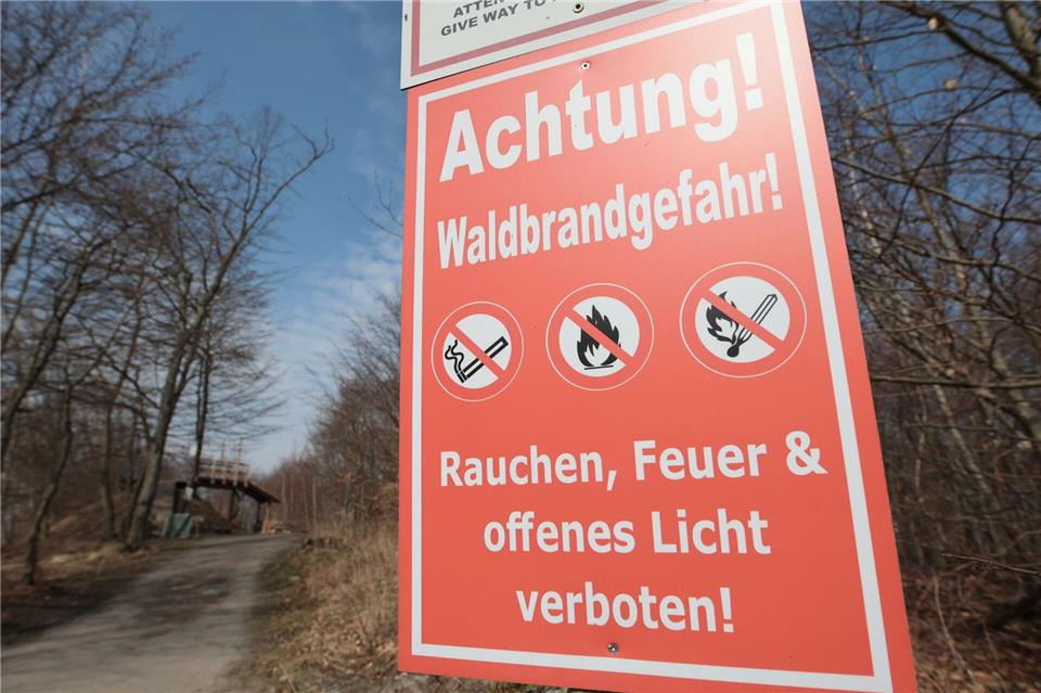 Trockene Vegetation erhöht derzeit regional die Waldbrandgefahr. (Archivbild)Matthias Bein/dpa