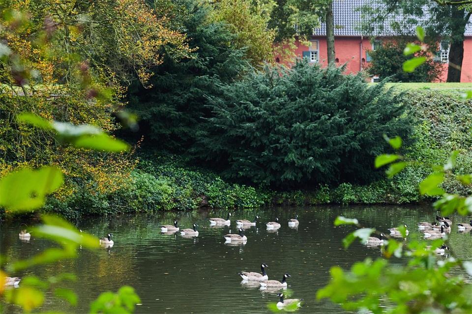 Trockenes, aber mitunter grau-trübes Wetter erwartet die Menschen in Nordrhein-Westfalen in den kommenden Tagen. (Symbolbild)Rolf Vennenbernd/dpa