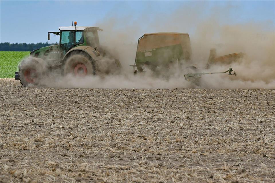 Trockenheit, Wind und fehlende Niederschläge beeinflussen die Entwicklung frisch gesäter Pflanzen wie etwa Zuckerrüben. (Symbolbild)Patrick Pleul/dpa