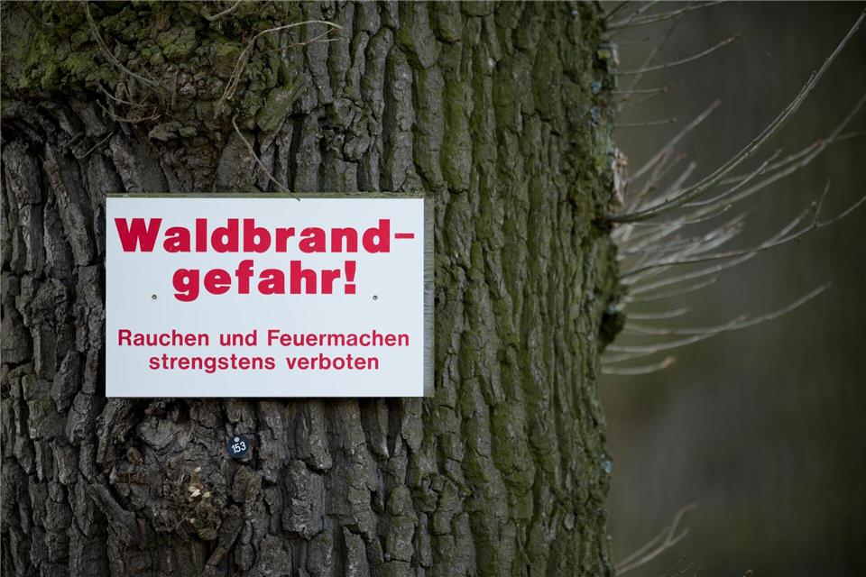 Trockenheit und offenes Feuer sind ein gefährliches Rezept für Wälder. (Symbolbild)David-Wolfgang Ebener/dpa