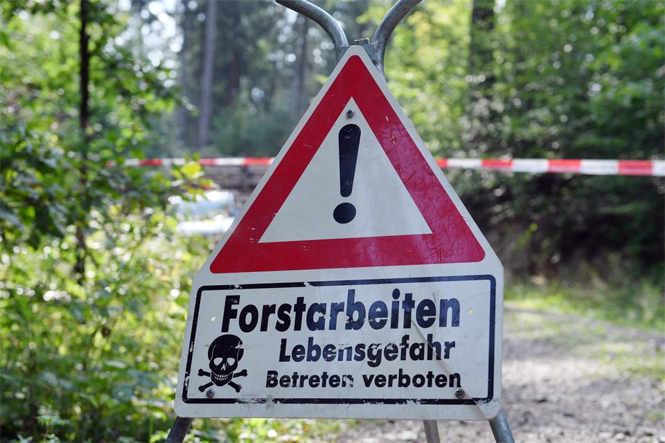 Trotz Absperrband und Warnschildern kam es zum tödlichen Unfall bei Forstarbeiten. (Symbolbild)Hendrik Schmidt/dpa-Zentralbild/ZB