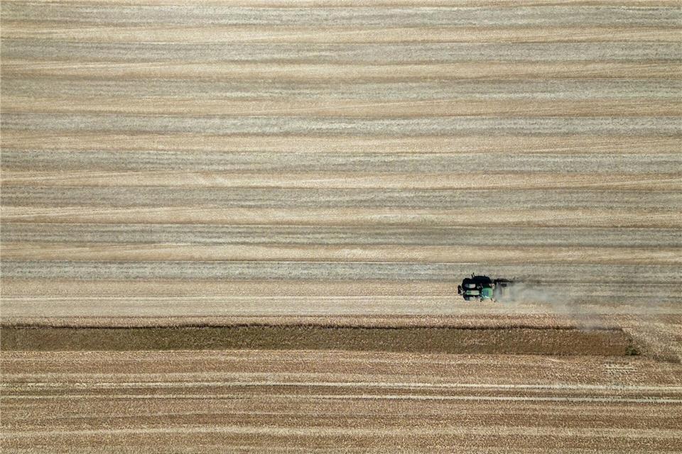 Trotz Hitze und Trockenheit ist die Ernte besser ausgefallen als ursprünglich erwartet. (Archivbild)Harald Tittel/dpa