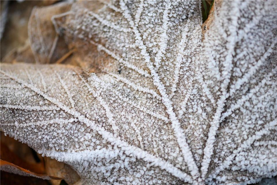 Trotz Schneefall bleibt der Winter in Mitteldeutschland bislang zu trocken. (Symbolbild)Hendrik Schmidt/dpa