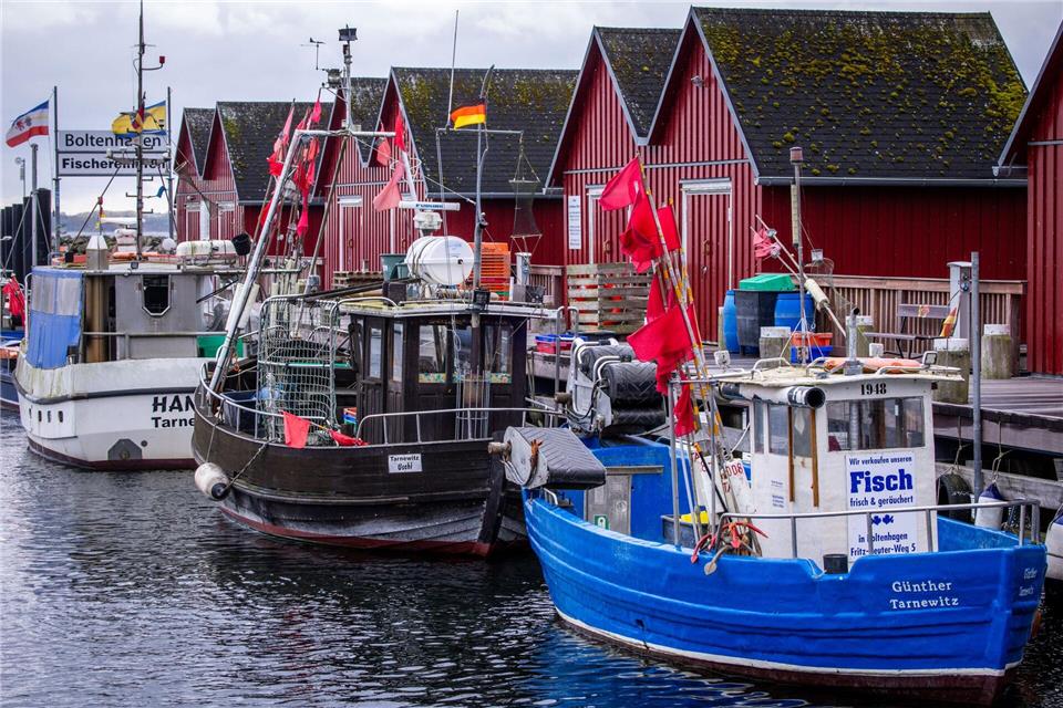 Trotz Sorgen um Dorsch und Hering: Für die deutschen Ostsee-Fischer bleibt fast alles beim Alten. (Symbolbild)Jens Büttner/dpa