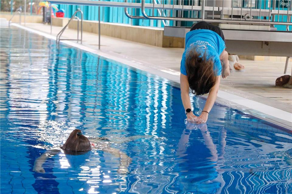Trotz Technik - Retten muss immer noch der Mensch.Frank Molter/dpa