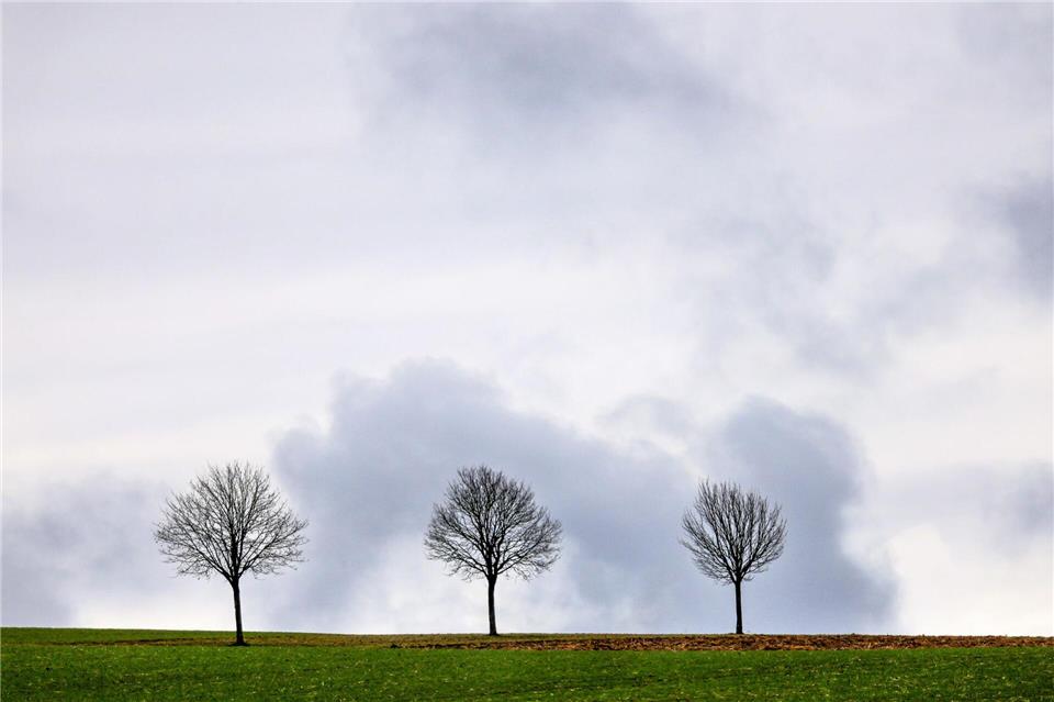 Trotz milder Temperaturen wird es wieder etwas ungemütlicher. (Archivbild)Thomas Warnack/dpa