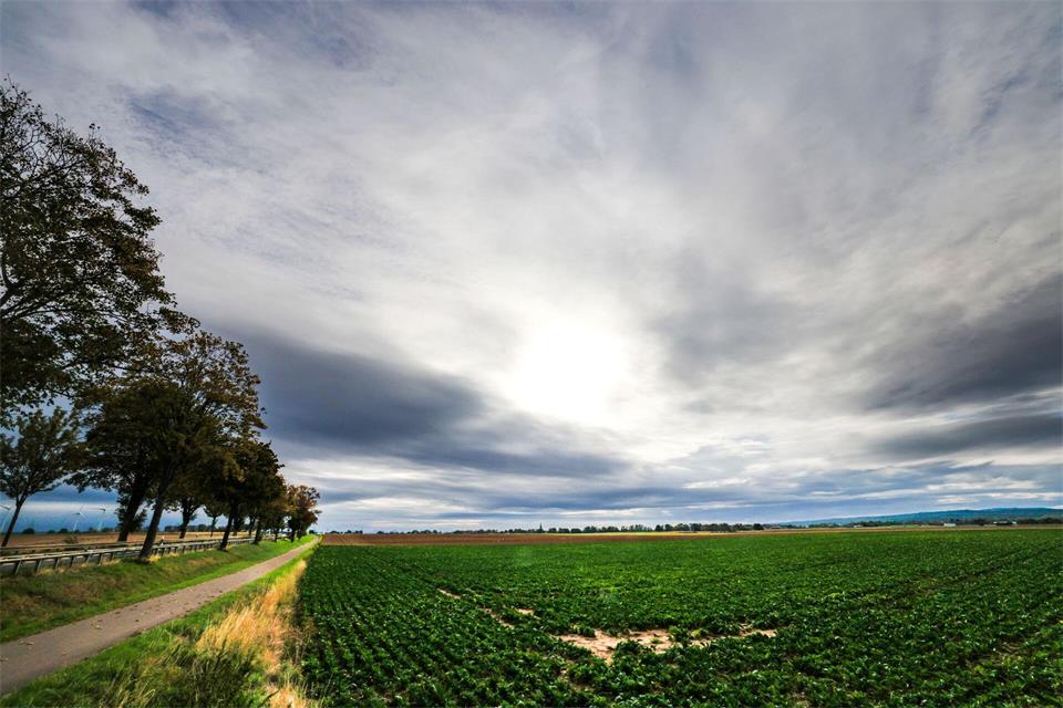 Trotz sommerlicher Temperaturen zeigen sich in NRW auch viele Wolken am Himmel. (Symbolbild/ Archiv) Thomas Banneyer/dpa