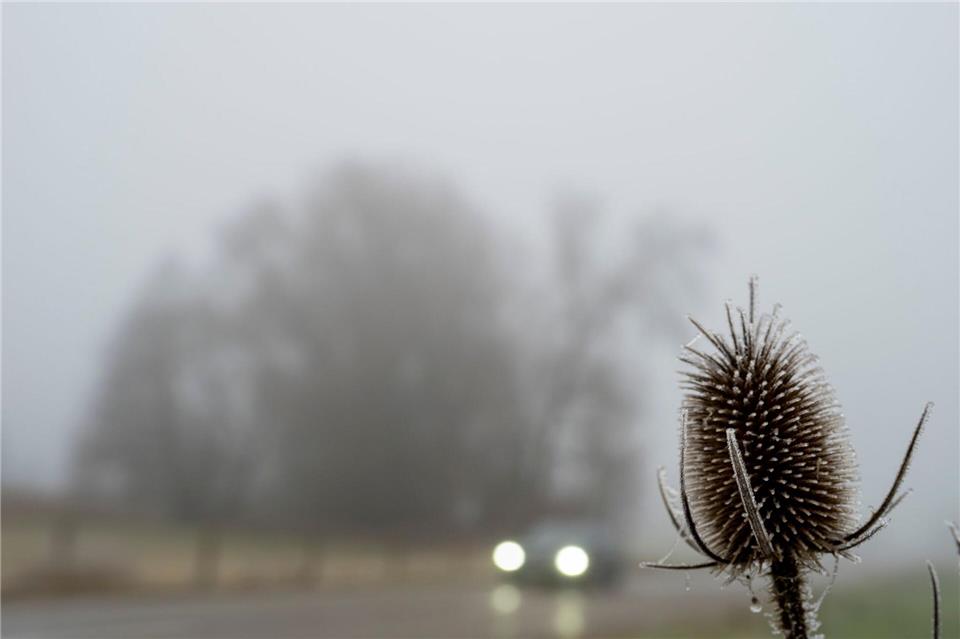 Trübes Wetter bestimmt den Samstag in weiten Teilen des Freistaats. (Archivbild) Stefan Puchner/dpa