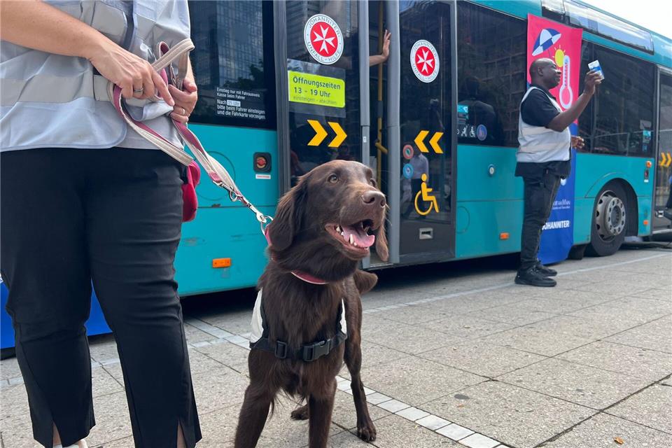 Trümmerhund Hazel steht vor dem Kältebus.Luis Bretthauer/dpa