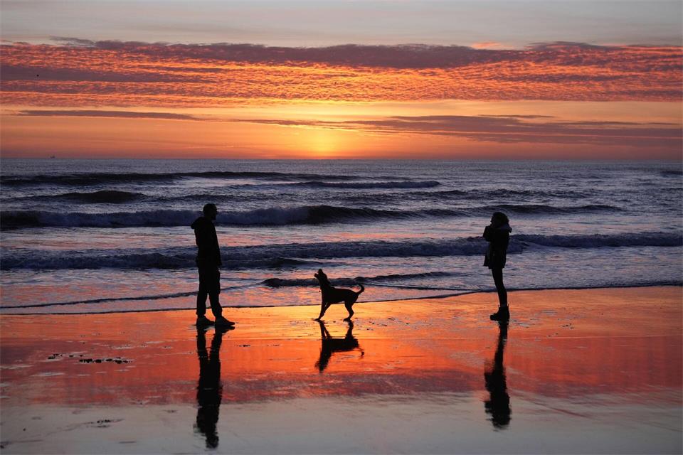 Tynemouth (Großbritannien): Früher Spaziergang am Meer – Hund und Begleiter im Sonnenaufgang am StrandOwen Humphreys/PA Wire/dpa
