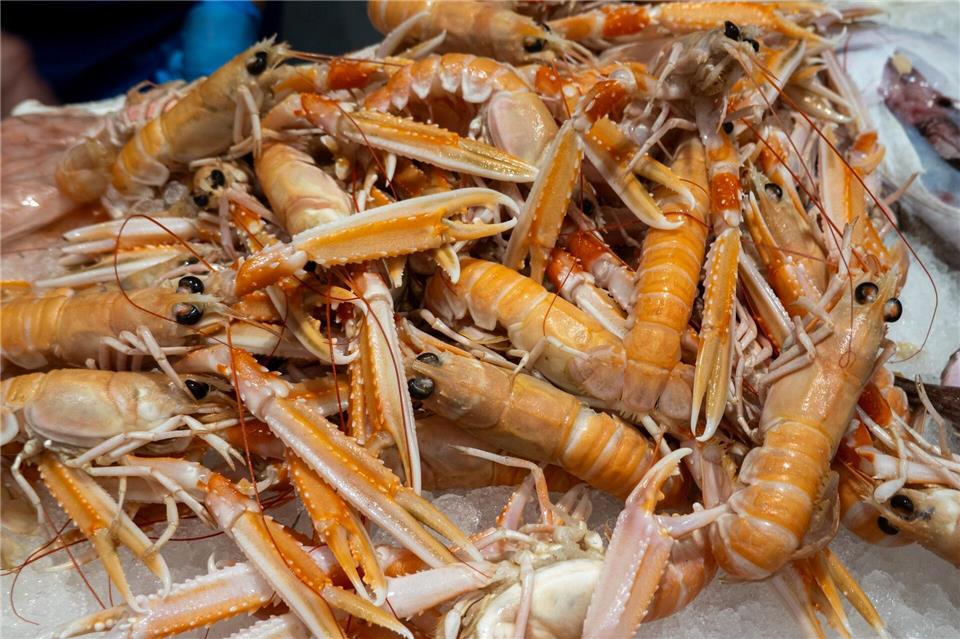 Typisch für Scampi: die blassrote Farbe und die langen Scheren. Andreas Drouve/dpa-tmn