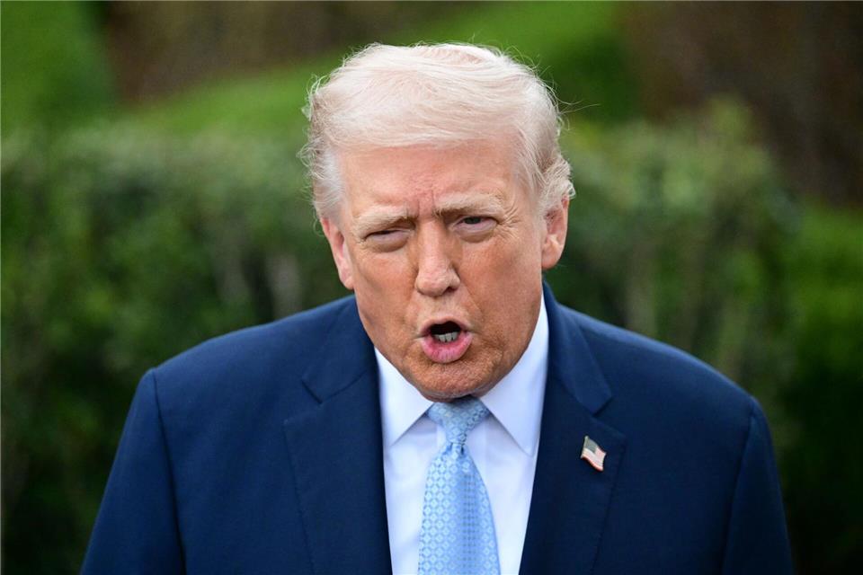 US-Präsident Trump will, dass Beamte der umstrittenen Behörde ICE sich um die Sicherheit an Flughäfen kümmern. (Archivbild)Kyle Mazza, Kyle Mazza/TheNEWS2 via ZUMA Press Wire/dpa