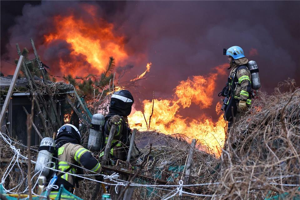 Über 1.200 Einsatzkräfte waren gegen die Flammen im Einsatz.Choi Jin-seok/Newsis/dpa