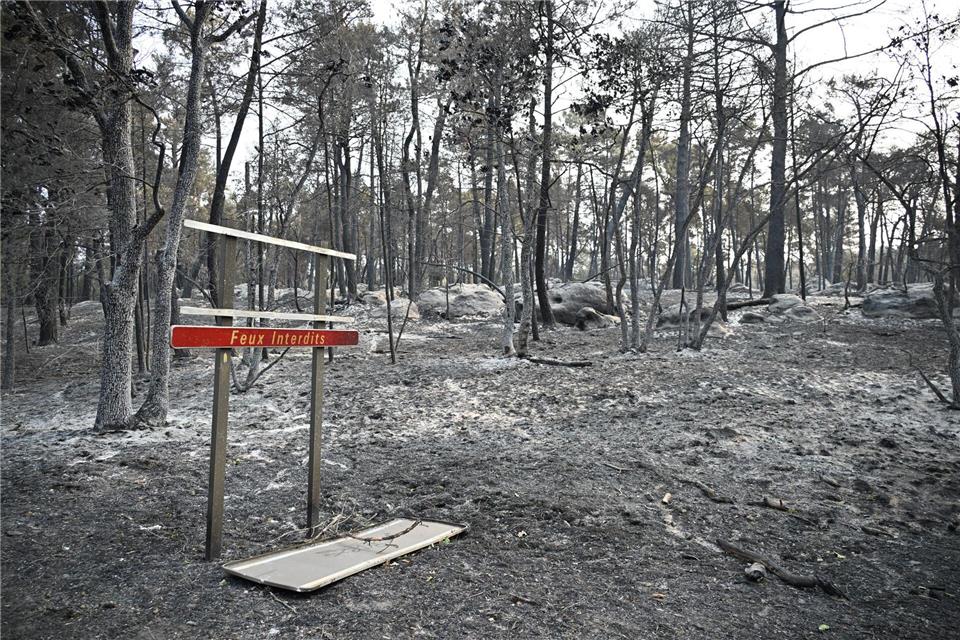 Über 2.000 Hektar Flüche wurden durch den Brand im Wald von Fontainebleau bereits zerstört.Emma Da Silva/AP/dpa