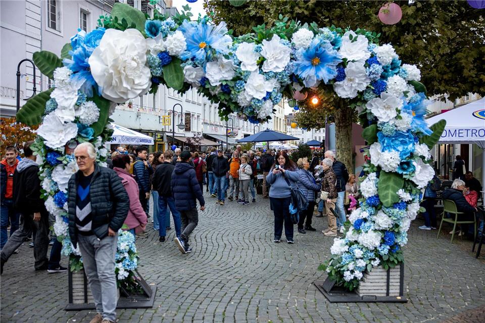 Über 600 Künstler und 240 Aussteller prägten das Bürgerfest zum Tag der Deutschen Einheit. Pinter Laszlo/dpa