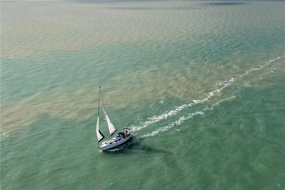 Über drei Kilometer führt die Pont de l’île de Ré zur Insel - und bietet schöne Ausblicke auf das Meer.Deike Uhtenwoldt/dpa-tmn