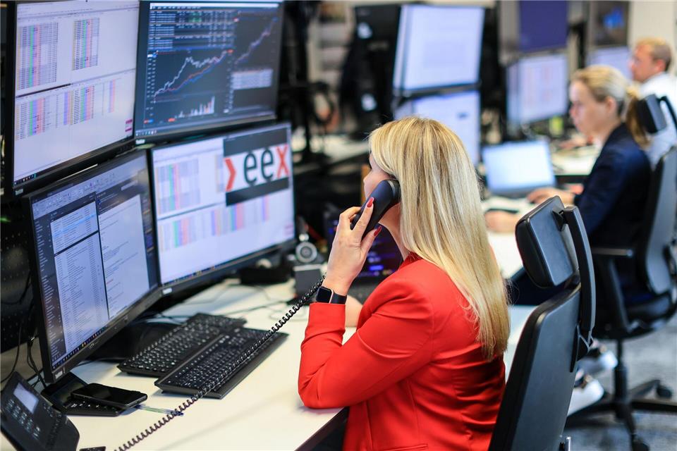 Überschuss an Wind- und Solarstrom lässt die Preise zeitweise ins Minus rutschen. (Archivbild) Jan Woitas/dpa