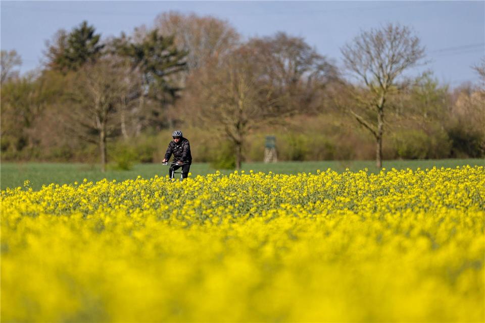 Überwiegend bleibt das Wetter auch in den kommenden Tagen freundlich. (Symbolbild)Christoph Reichwein/dpa