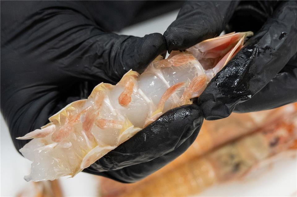 Übungssache: Die Kruste von Scampi zu knacken, ist anfangs gar nicht so leicht. Andreas Drouve/dpa-tmn