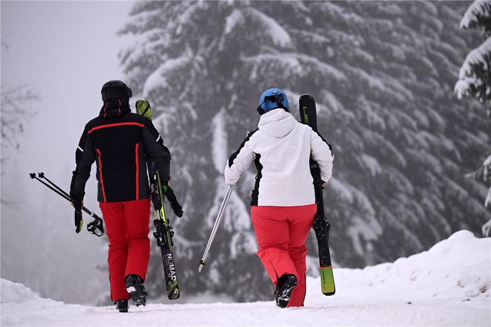 Üppige Schneefälle freuten die Skifahrer in diesem Winter. (Archivbild)Martin Schutt/dpa