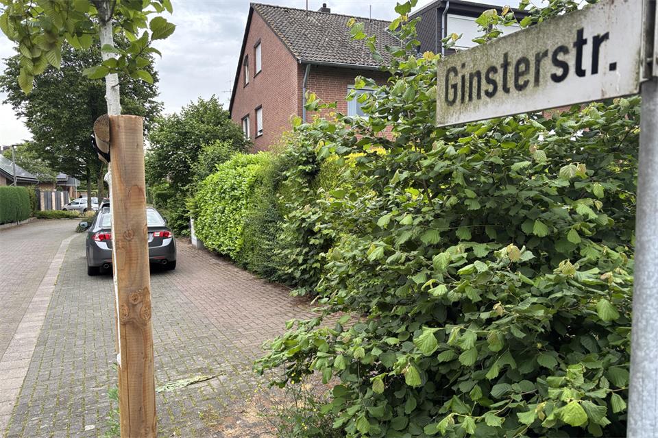 Um Bäume in der Ginsterstraße ging es jüngst im Zusammenhang mit der Baumschutzsatzung.